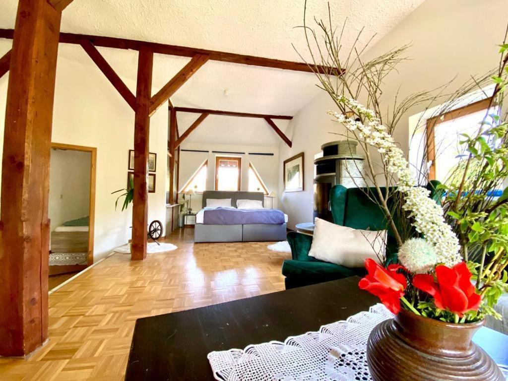 Hotel Weisse Muehle Breitenworbis Buitenkant foto