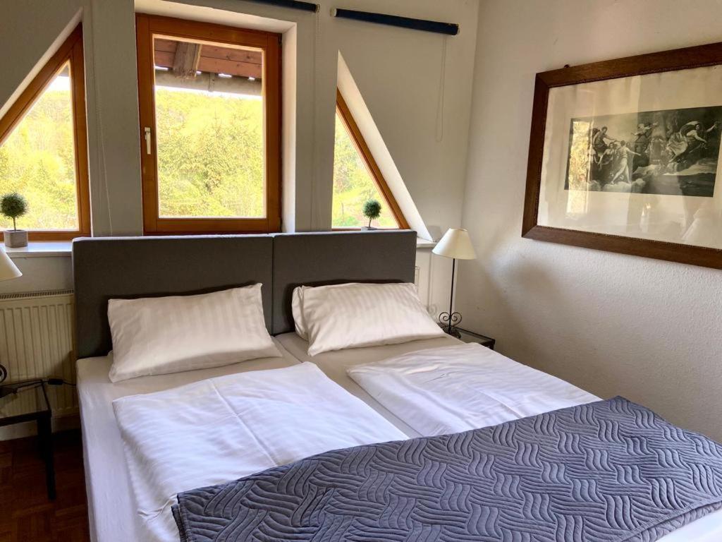 Hotel Weisse Muehle Breitenworbis Buitenkant foto